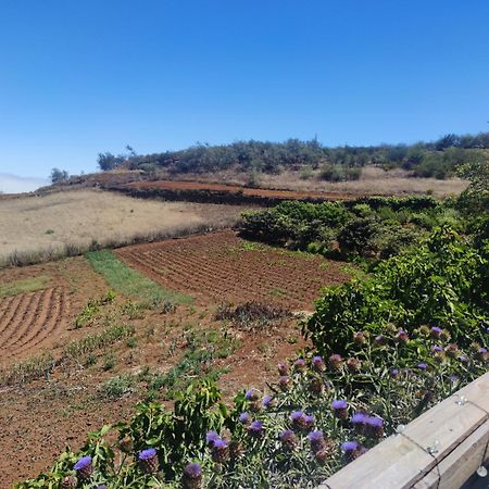 Finca El Cercadillo Gáldar Buitenkant foto