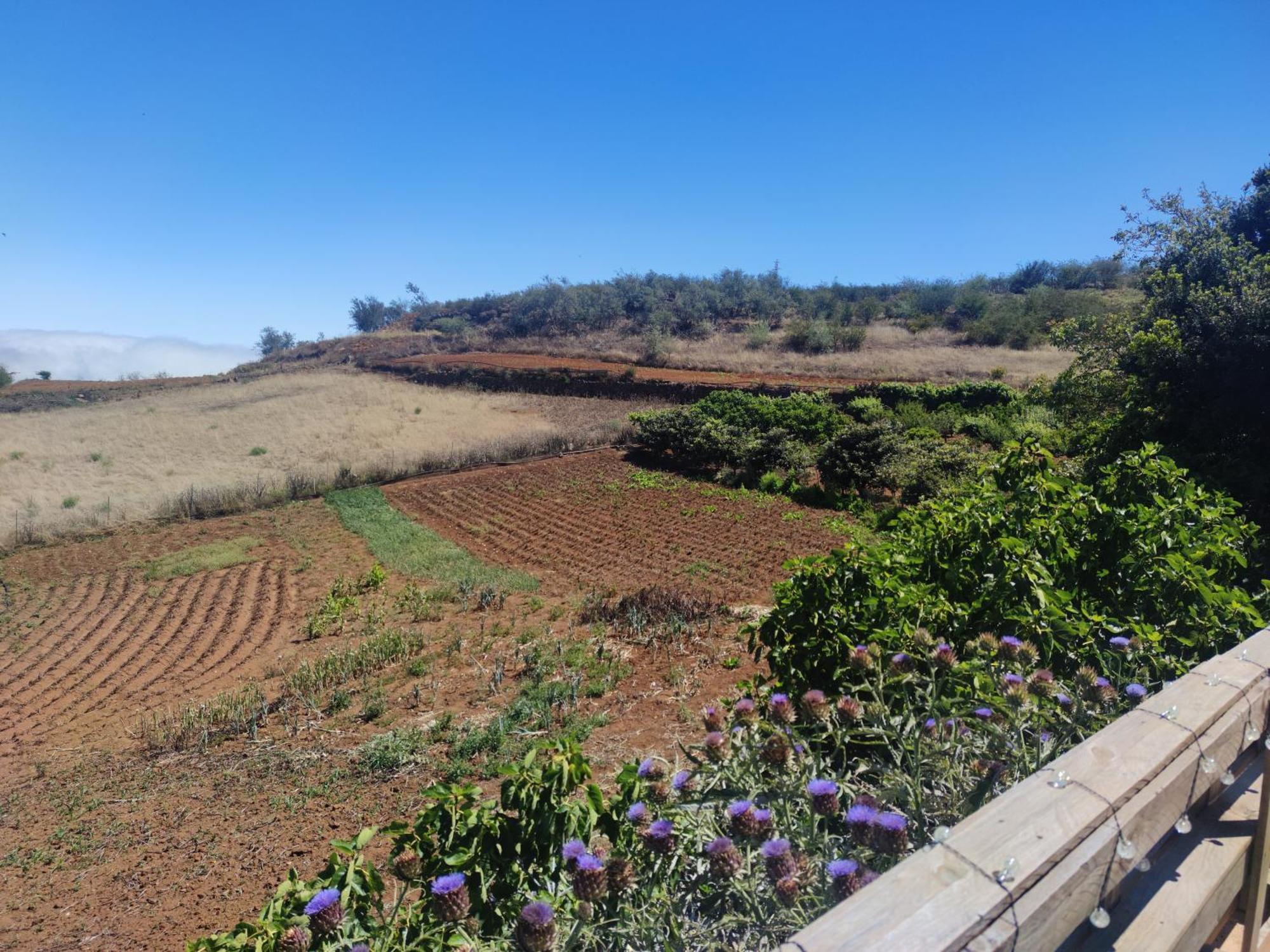 Finca El Cercadillo Gáldar Buitenkant foto